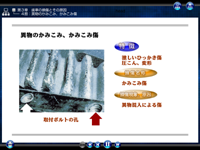 教材画面