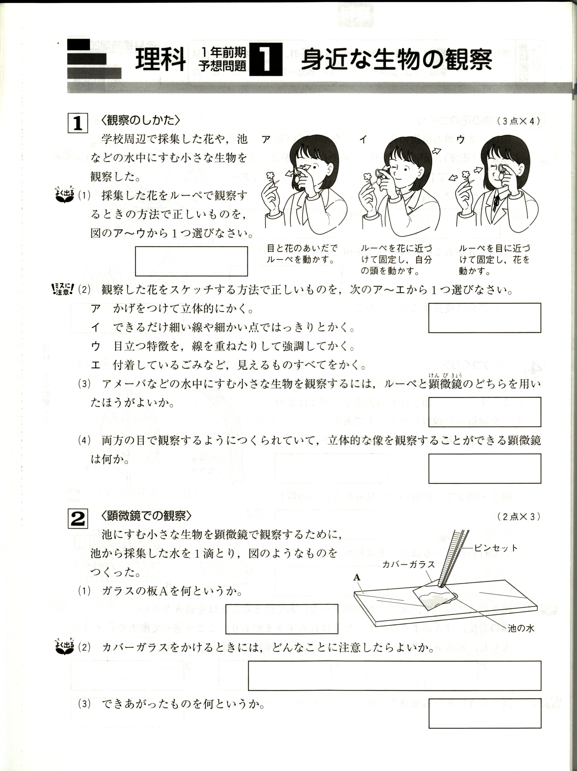 25 中1 1学期 中間テスト 予想問題 シモネタ