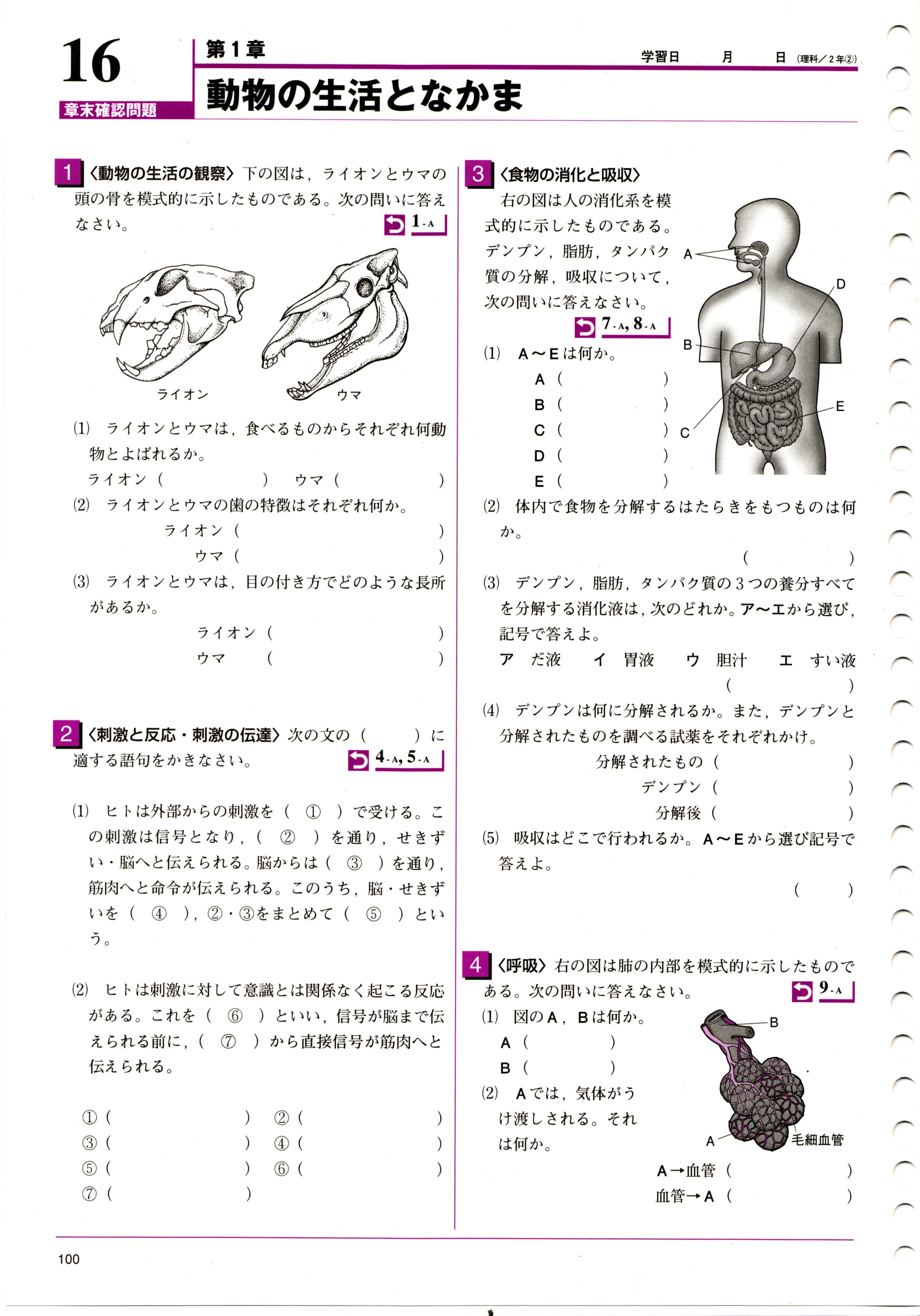 中学理科教材 月刊ドリル Dvd ソフト で高校受験合格の実力を 中学理科教材 月刊ドリル Dvd ソフト で高校受験合格の実力を