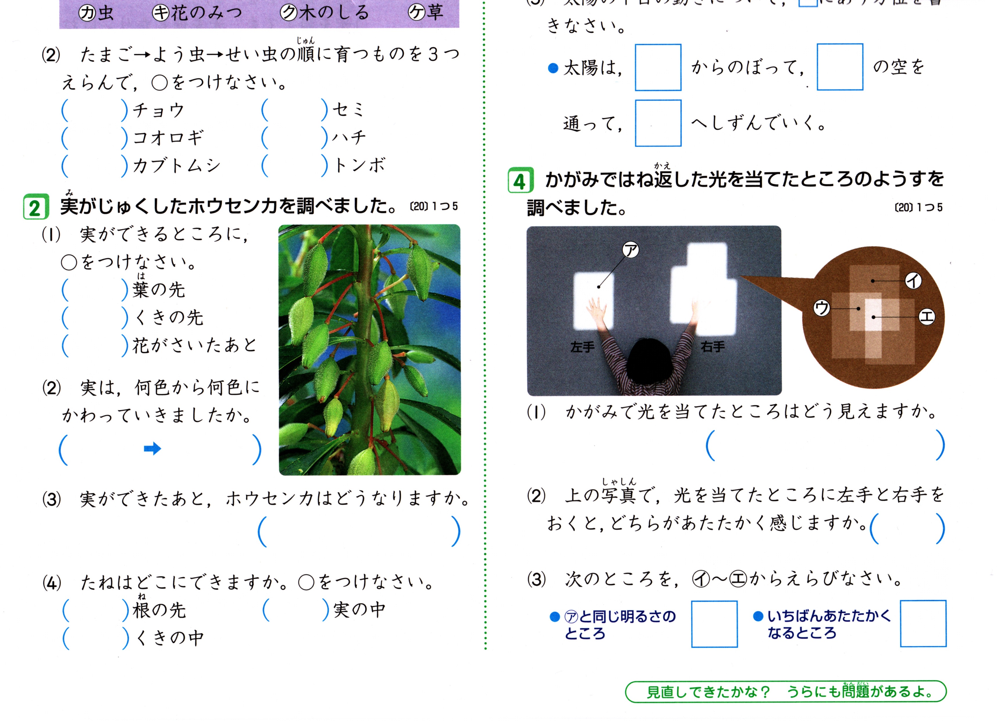 小３ポピー理科は てびきが詳しいので毎日の予習 復習に最適です