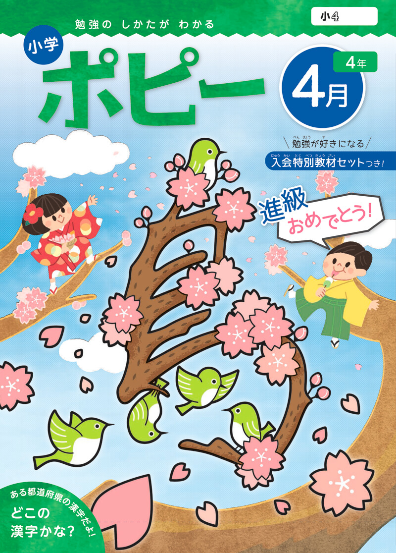 ポピー教材の入会申込【支払方法は年払い・クレジットカード